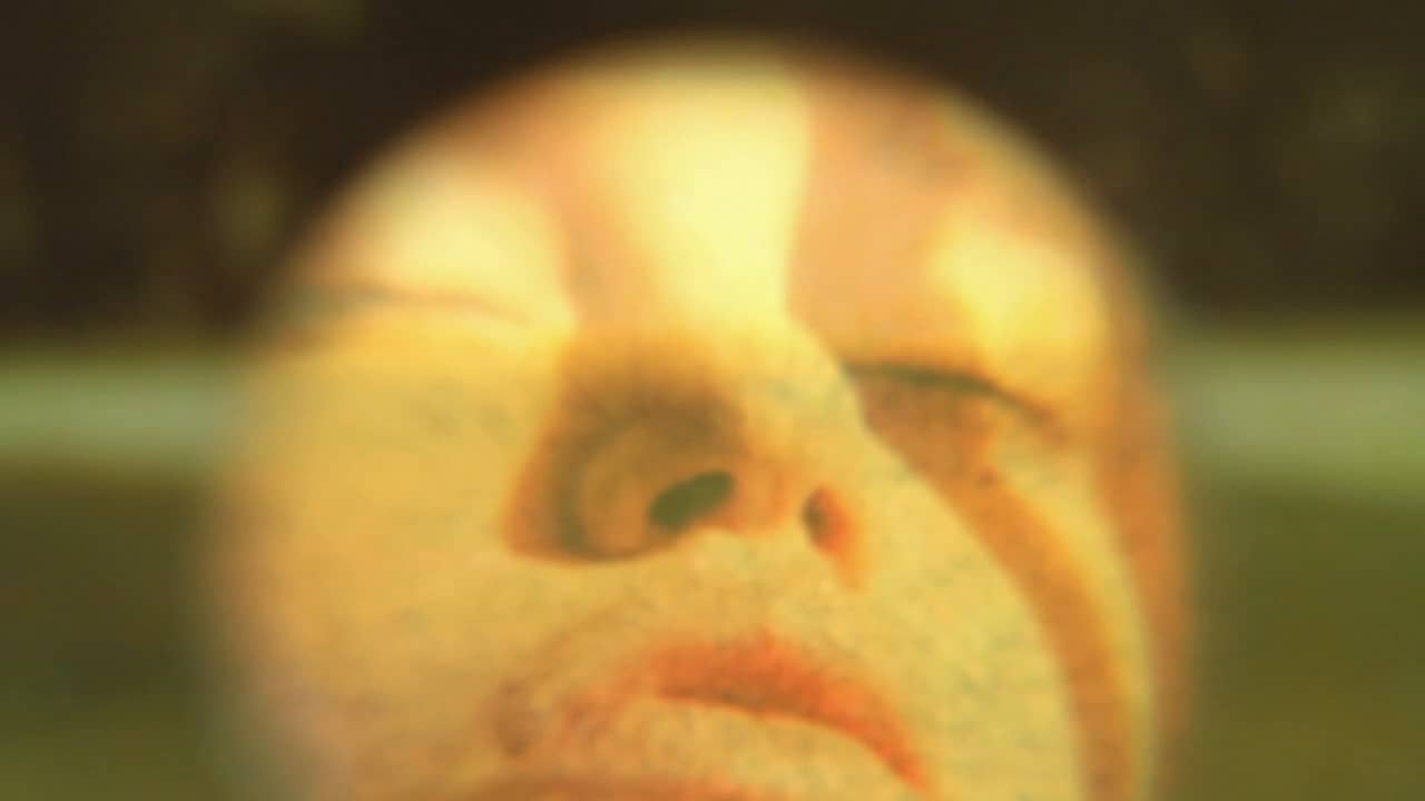 487701647