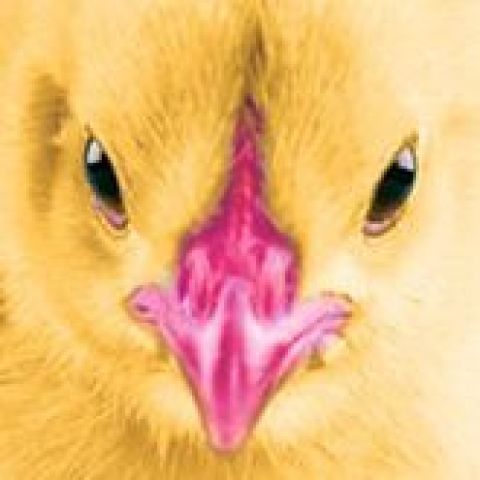 PechaKucha des Unes Fois d'Un Soir 2019